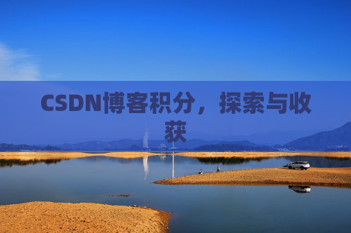 CSDN博客积分，探索与收获
